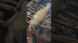 Catch & cook brown trout