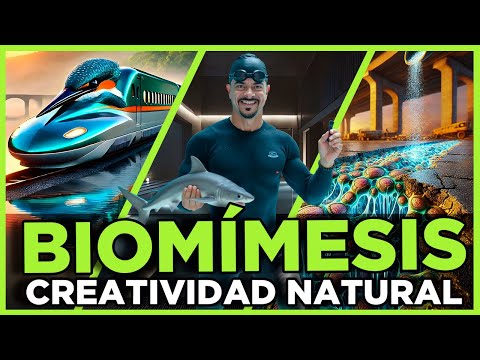 Biomímesis: ¿Cómo la Naturaleza Inspira la Tecnología del Futuro?