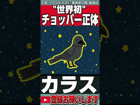 【ワンピース】チョッパーの悪魔の実の正体。万能薬になるの本当の意味。ヒトヒトの実幻獣種モデルパナ・パナア・パナー。【ネタバレ】【最新話がもっと楽しみになる考察】【黒磯】#shorts #ワンピース