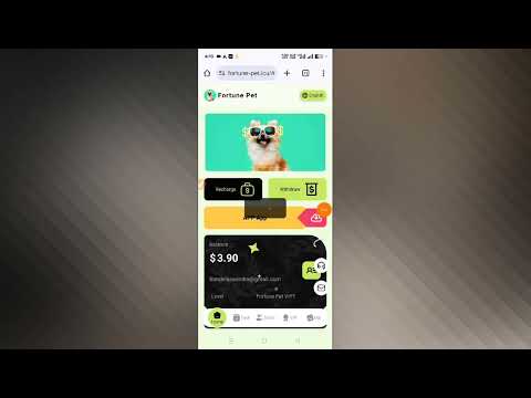 How to make money by breeding Fortune PET?