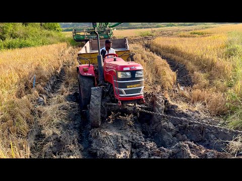 Mahindra tractor stuck in mud pulling out by another Mahindra tractor | tractor |