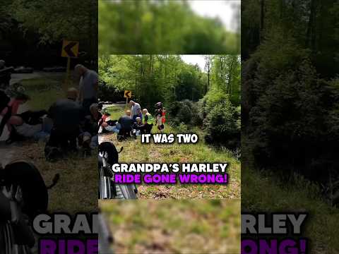 Grandpa's Harley Ride Turned Into A Nightmare!@kawasakiRRPilot