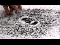 Magnetic Field Lines and Properties