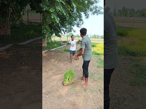 क्या रहा है 😂#trendingshorts #funnyshorts #realfoolscomedy #realfoolsteam #shortsfeed#viralvideo #1m