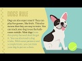 Persuasive Texts and Dogs as Pets