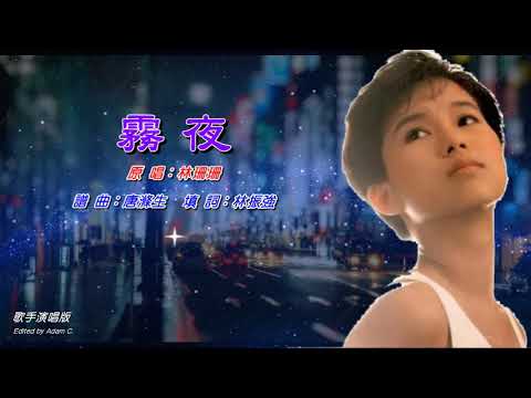 霧夜   林珊珊〈歌手演唱版〉