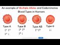 Exploring Incomplete Dominance and Polygenic Inheritance