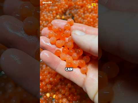 How to Take Salmon Eggs #shorts