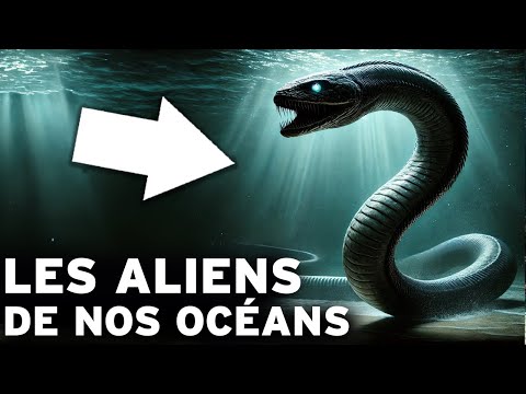 Les Extraterrestres des Profondeurs, Un Voyage Extraordinaire dans Nos Océans Documentaire Animalier