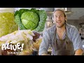 Sauerkraut Preparation and Fermentation