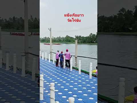 แข็งเรือยาววัดไร่ขิงShortsสนุกมาก