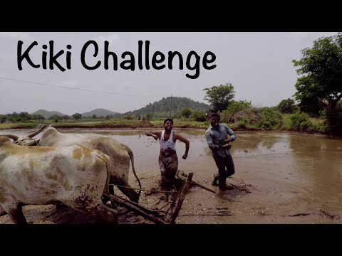 Kiki challenge village farmers style India | my village show