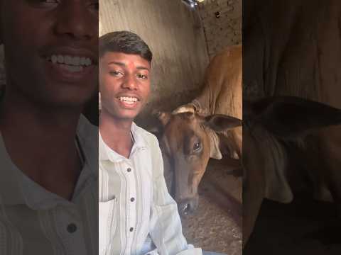 Ye kon sa dance h 😱 #minivlog #vlog