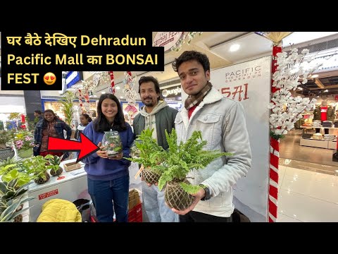 घर बैठे देखिए Dehradun Pacific Mall का BONSAI FEST 😍