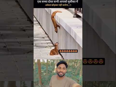 ये सच्ची दोस्ती है #motivation #shorts #ytshorts