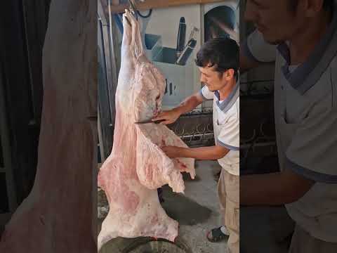 #gosht #animals #qashqirlarmakonipistirma #sheepfarm #arashan #cow #фотосессияlovestory #ehson #fo