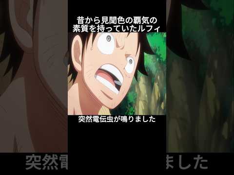 昔から見聞色の覇気の素質を持っていたルフィ #ワンピース #onepiece