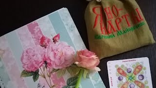 Что такое Ясно консультация и как она будет проходить.