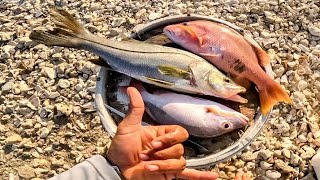Camping and fishing Aruba