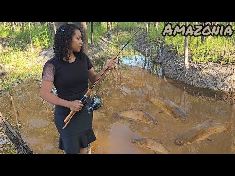 ACHAMOS um LUGAR INFESTADO DE PEIXE no meio da  FLORESTA AMAZÔNICA