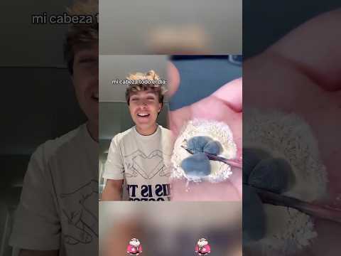 pobre Patricio#shorts#funny#trending#pov