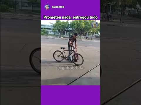 Prometeu nada,  entregou tudo  #gatodetela #memes #humor