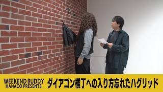 ダイアゴン横丁への入り方忘れたハグリッド【ハナコ】