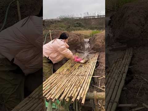 Amazing fishing video #shorts #fishing #viral #tiktok #trending