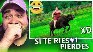 Si te Ries Pierdes Nivel Dios | MeMes Random | gracioso 99998%