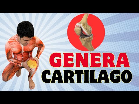 EN SECRETO activa AHORA TU CARTÍLAGO en las RODILLAS