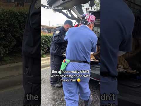 Dog rescued from shelter right before he was supposed to be put down