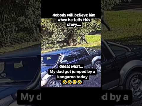 Bro literally got jumped by a Kangaroo 😆🤣😂