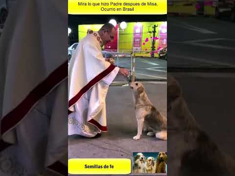 Mira la reacción de Sacerdote al Ver Perro fuera de la Iglesia #Shorts #short #humor