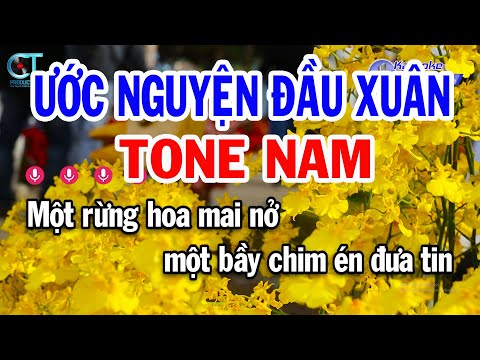 Karaoke Ước Nguyện Đầu Xuân Tone Nam ( Cm ) Nhạc Xuân Mới || Karaoke Đồng Sen