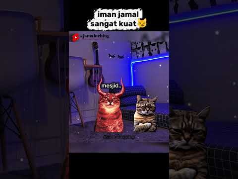Jamal mode Soleh👍🗿 #kucing #hiburan #catmemes #shortsviral #lawak #catlovers