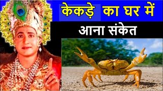 केकड़े का आपके घर में आना संकेत ! क्या कहते हे श्री कृष्ण // kekde ka ghr me aana