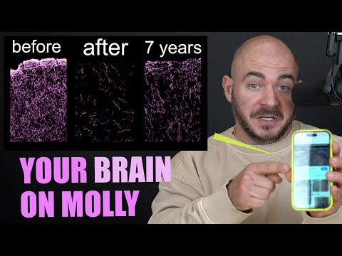 I'm NEVER Touching Molly Again