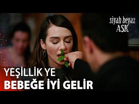 Ferhat, Aslı'yı elleri ile besliyor - Siyah Beyaz Aşk