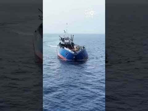 Watch This Ship Split Open Like a Clamshell #shorts