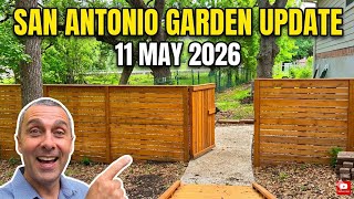 San Antonio Garden update 11 May 2026