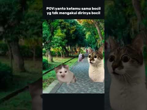 yanto🗣️:ya elah gue hajar lu, baru tahu yeh!! #kucing #kucingmeme