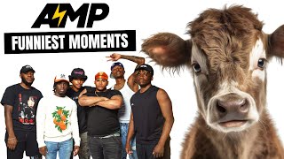 BEST OF AMP (FUNNY MOMENTS) 😭