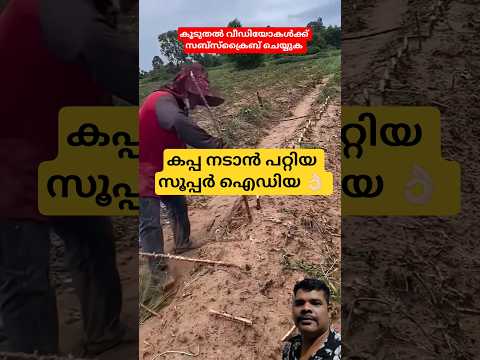 സൂപ്പർ ഐഡിയ #farming #satisfying #agriculture #vegetables #tapioca #music #travel #tools #food