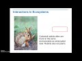 Ecosystem Roles and Relationships