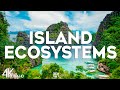 Unique Ecosystems and Conservation Efforts