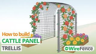 Video thumbnail for How to build a cattle panel trellis