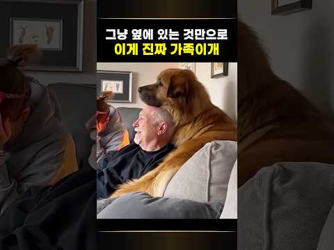 이게 진짜 가족이지, 피가 뭐가 중요해! 힐링인데 나 왜 울어ㅠ