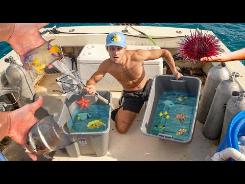 Catching EXPENSIVE FISH For SALTWATER AQUARIUM!! ￼