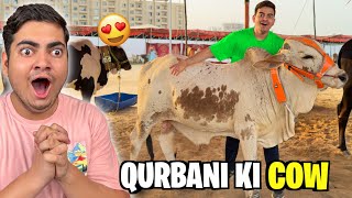 FINALLY APNA QURBANI KA JANWAR LELIYA 🥰 | MANDI ME SCAM HONE WALA THA 😡