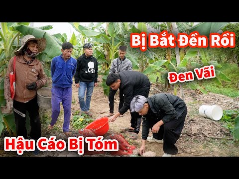 Quá Đen Bị Bắt Đền Câu Cá Nhầm Ao Hàng Xóm Tóm Gọn !